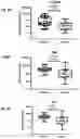 Fig. 08 - IDENTIFICATION AND CHARACTERIZATION OF OVARIAN CANCER SPECIFIC BIOMARKERS IN VAGINAL SECRETIONS