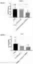 Fig. 15 - IDENTIFICATION AND CHARACTERIZATION OF OVARIAN CANCER SPECIFIC BIOMARKERS IN VAGINAL SECRETIONS