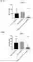 Fig. 19 - IDENTIFICATION AND CHARACTERIZATION OF OVARIAN CANCER SPECIFIC BIOMARKERS IN VAGINAL SECRETIONS