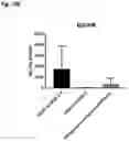 Fig. 22 - IDENTIFICATION AND CHARACTERIZATION OF OVARIAN CANCER SPECIFIC BIOMARKERS IN VAGINAL SECRETIONS