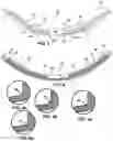 Fig. 03 - Corrective Lens Apparatus and Method