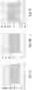 Fig. 03 - EUV PHOTO MASKS AND MANUFACTURING METHOD THEREOF