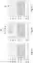 Fig. 04 - EUV PHOTO MASKS AND MANUFACTURING METHOD THEREOF