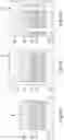 Fig. 06 - EUV PHOTO MASKS AND MANUFACTURING METHOD THEREOF