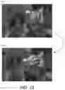 Fig. 07 - FINE-GRAIN OBJECT SEGMENTATION IN VIDEO WITH DEEP FEATURES AND MULTI-LEVEL GRAPHICAL MODELS