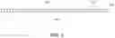 Fig. 07 - DEVICES AND METHODS FOR SPECKLE MOTION ARTIFACT DETECTION AND COMPENSATION IN MEDICAL IMAGING