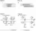 Fig. 02 - Surface Topographies for Altering the Physiology of Living Cells