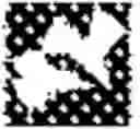 Fig. 49 - Surface Topographies for Altering the Physiology of Living Cells