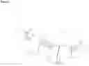 Fig. 05 - ORTHOPAEDIC DEVICE
