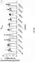 Fig. 08 - MICROBES WITH REDUCED ADHESION CHARACTERISTICS