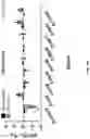 Fig. 13 - MICROBES WITH REDUCED ADHESION CHARACTERISTICS
