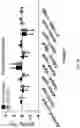Fig. 14 - MICROBES WITH REDUCED ADHESION CHARACTERISTICS