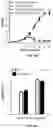 Fig. 16 - MICROBES WITH REDUCED ADHESION CHARACTERISTICS