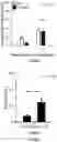 Fig. 18 - MICROBES WITH REDUCED ADHESION CHARACTERISTICS