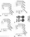 Fig. 07 - Structure-Function Relationships in the Development of Immunotherapeutic Agents