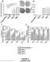 Fig. 09 - Structure-Function Relationships in the Development of Immunotherapeutic Agents
