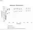 Fig. 07 - Additive formulation for reduction or prevention of microbially induced corrosion in concrete or cementitious material