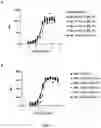 Fig. 06 - MOLECULES BINDING PD-L1 AND USES THEREOF