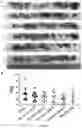 Fig. 09 - MOLECULES BINDING PD-L1 AND USES THEREOF