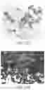 Fig. 23 - PREPARATION OF POLYMERIC RESINS AND CARBON MATERIALS