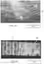 Fig. 35 - Shaped nonwoven