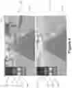 Fig. 05 - METHOD AND SYSTEM FOR 2D MOTION TRACKING OF A SUBJECT