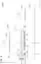 Fig. 09 - SEMICONDUCTOR LASER DEVICE