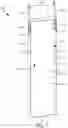 Fig. 02 - HANGING APPARATUS