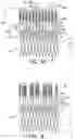 Fig. 11 - Prosthetic heart valve