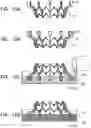 Fig. 16 - Prosthetic heart valve