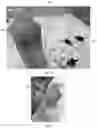 Fig. 02 - HYDROGEN GENERATIION AND DELIVERY DEVICE AND METHODS