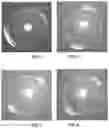 Fig. 02 - MEMBRANOUS IMMOBILIZED CELLS, POLYPEPTIDES, OLIGOPEPTIDES OR PROTEINS AND A PREPARATION METHOD THEREOF