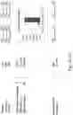 Fig. 11 - FOOD STORAGE METHOD AND APPARATUS