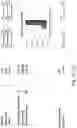 Fig. 20 - FOOD STORAGE METHOD AND APPARATUS