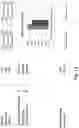 Fig. 24 - FOOD STORAGE METHOD AND APPARATUS