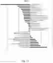 Fig. 27 - FOOD STORAGE METHOD AND APPARATUS