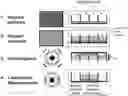Fig. 01 - HIGH-THROUGHPUT QUANTITATIVE MEASUREMENT OF BULK MECHANICAL PROPERTIES OF SOFT MATERIALS