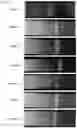 Fig. 03 - IMMUNOCHROMATOGRAPHIC KIT FOR FLUORESCENT IMMUNOCHROMATOGRAPHY AND HOUSING CASE COMPRISING IMMUNOCHROMATOGRAPHIC KIT