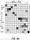 Fig. 10 - End-to-end neural word alignment process of suggesting formatting in machine translations
