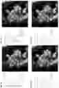 Fig. 167 - Tracking biological objects over time and space