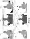 Fig. 05 - SENDER-SIDE GEOMETRIC FUSION OF DEPTH DATA