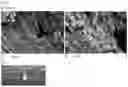 Fig. 07 - ACCELERATING TOOTH REMINERALISATION AND BONE REGENERATION WITH SELF-ASSEMBLING PEPTIDES AND AMORPHOUS CALCIUM PHOSHATE