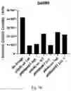 Fig. 08 - PHAGE COMPOSITIONS FOR ESCHERICHIA COMPRISING CRISPR-CAS SYSTEMS AND METHODS OF USE THEREOF
