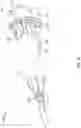Fig. 15 - CLEANING RECEPTACLE FOR CRYOGENIC FLUID FUELING NOZZLE
