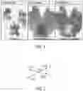 Fig. 02 - SEAT ALGORITHMS