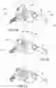 Fig. 10 - APPARATUS FOR LOADING AND ACCUMULATING SEMI-FINISHED PLATE-LIKE PIECES, IN PARTICULAR LENSES