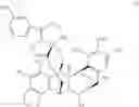 Fig. 02 - A LYOPHILIZED PHARMACEUTICAL COMPOSITION