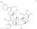 Fig. 03 - A LYOPHILIZED PHARMACEUTICAL COMPOSITION