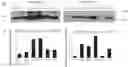 Fig. 01 - FUSION PROTEIN AND USE THEREOF