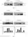 Fig. 02 - FUSION PROTEIN AND USE THEREOF
